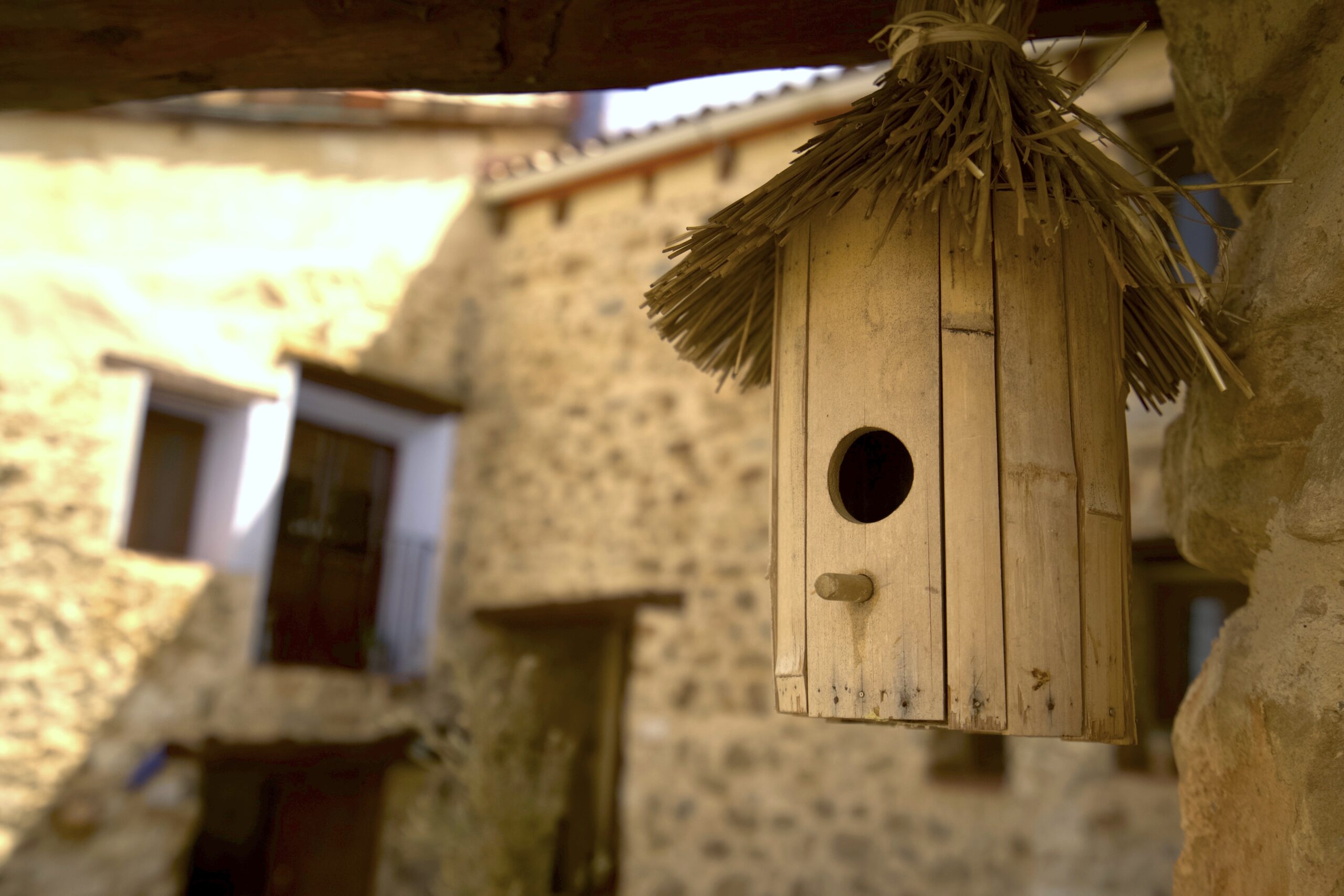 Cau del Somnis